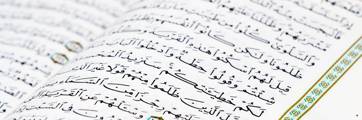 Elifba Öğreten Türkçe Video Serileri